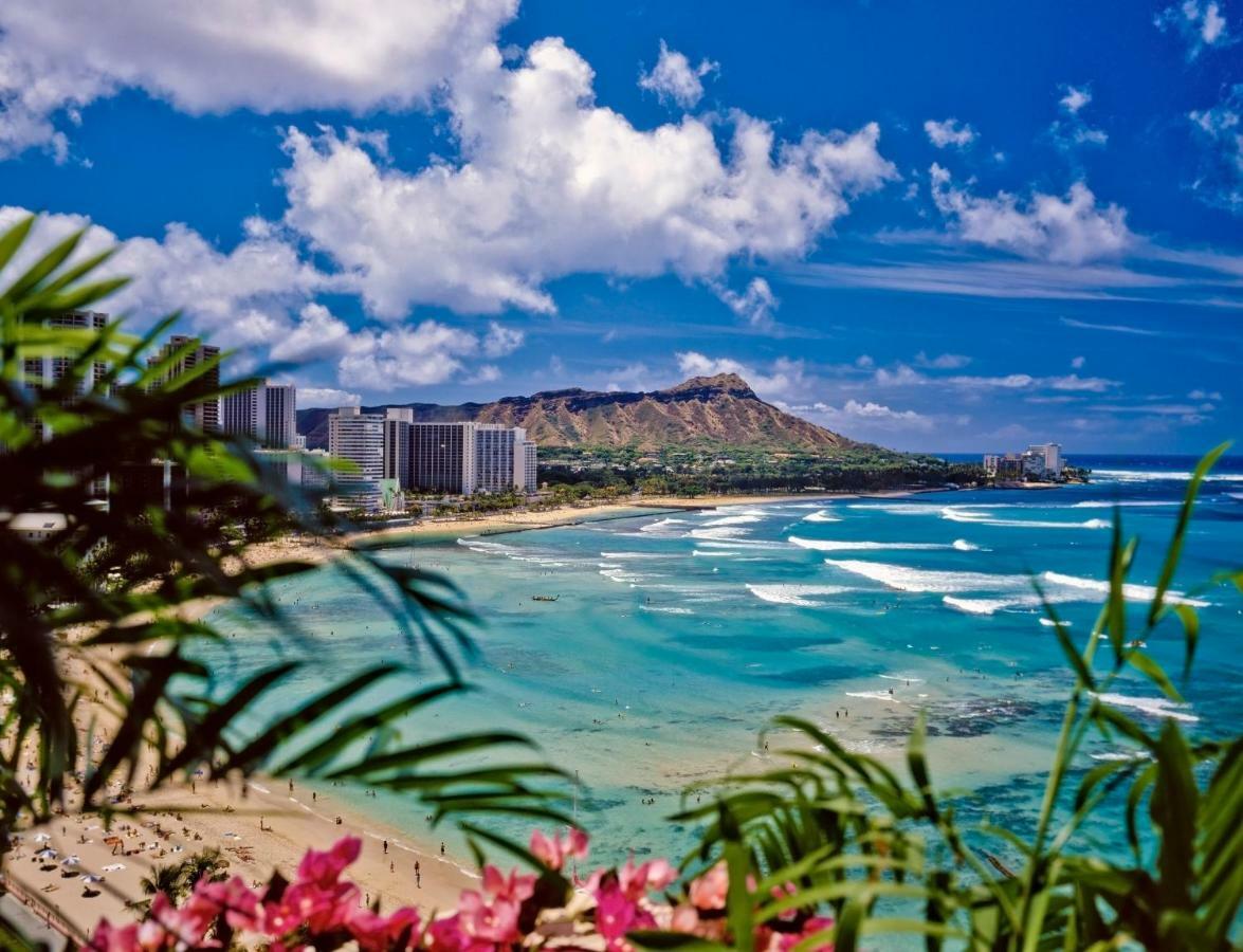 Beautiful Studio In The Heart Of Vibrant Waikiki Honolulu Ngoại thất bức ảnh
